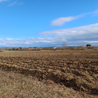 Terreno agricolo A SINALUNGA (NON SEGGIANO)