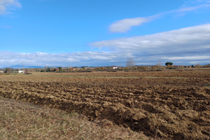 Terreno agricolo A SINALUNGA (NON SEGGIANO)