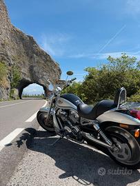 Harley Davidson V Rod2003