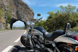 Harley Davidson V Rod2003