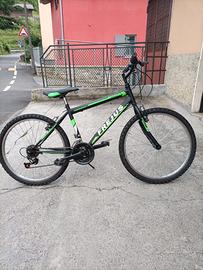 Bicicletta