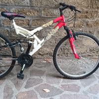 Bici Gianni Bugno