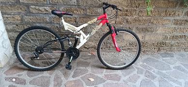 Bici Gianni Bugno
