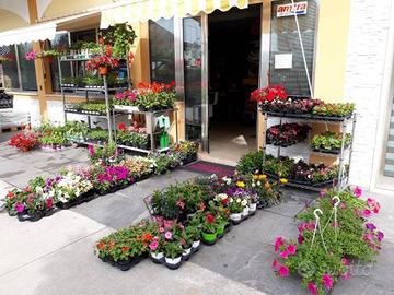 Attività di prodotti per Animali e Acq