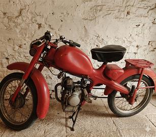 Motom 48 C 