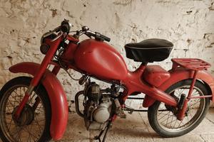 Motom 48 C 