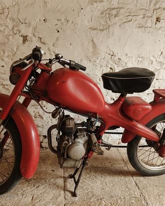 Motom 48 C 