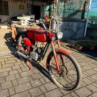 MV Agusta Germano Sport 50 cc (1964)