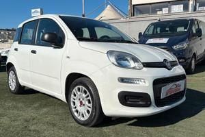 Fiat Panda 1.2 312PXA1A - BENZINA 169A4000 CC 1242