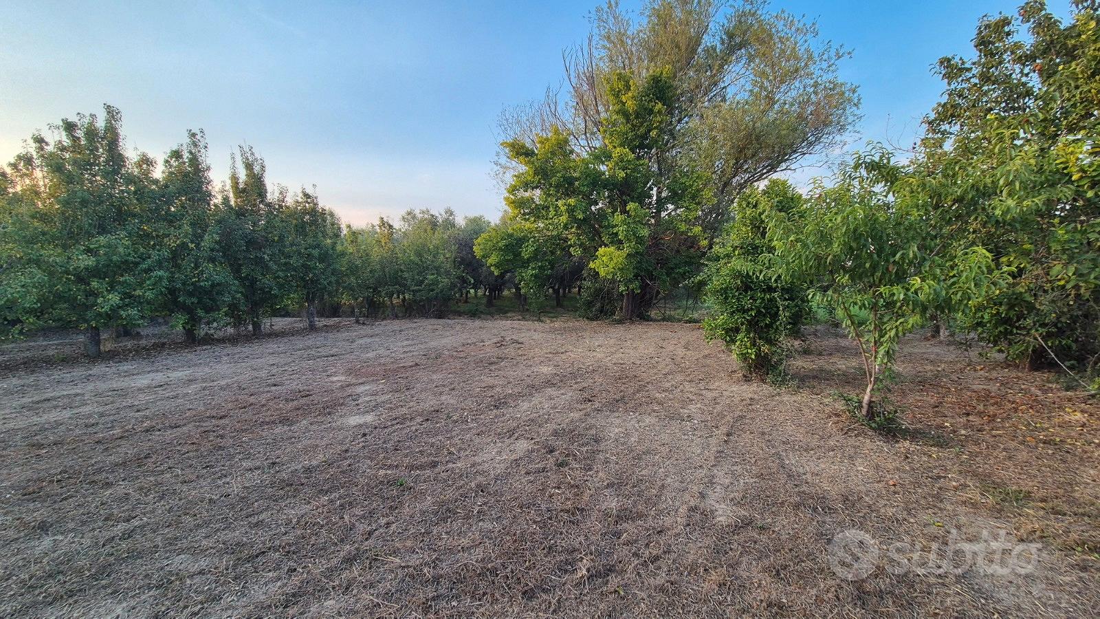 Terreno agricolo 2.462 mq con deposito di 14mq - Altro