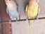 Immagine 2