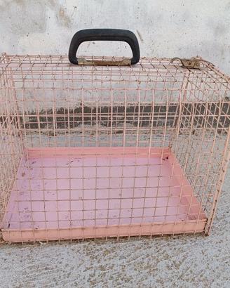 Gabbia trasporto gatto coniglio cane