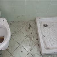 Lavoro domestico pulizia profonda