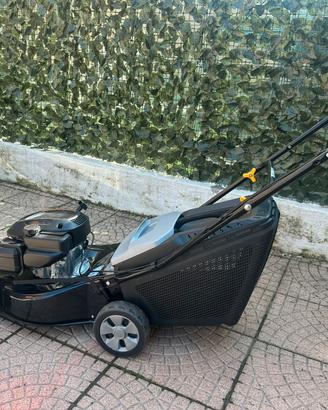 Tagliaerba semovente alpina