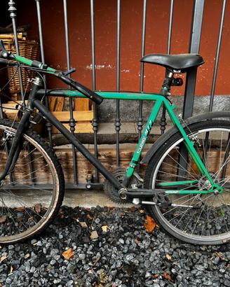 MTB  telaio 26"