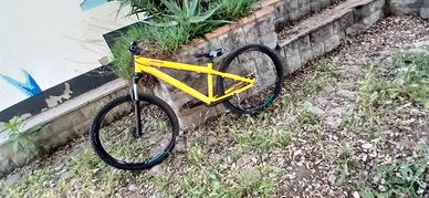 bici dirt