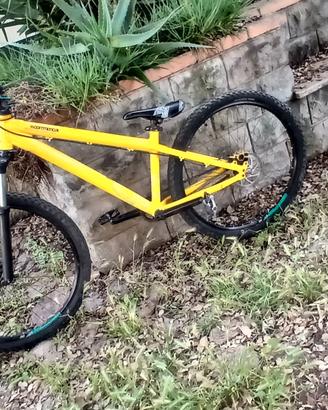 bici dirt