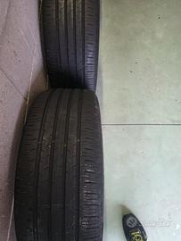 gomme estive