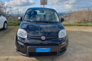 fiat panda hybrid