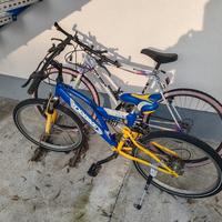 2 biciclette ragazzi