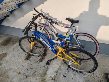 2 biciclette ragazzi