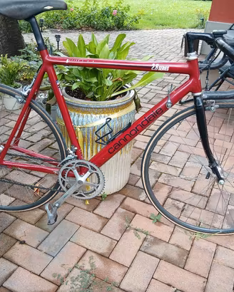 bici da corsa 