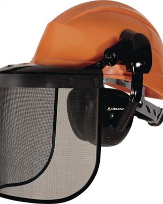 Kit elmetto completo Forestier2 Deltaplus