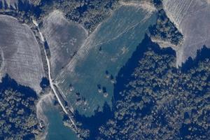 3.7 ettari terreno + rudere (F/2) con contributi 