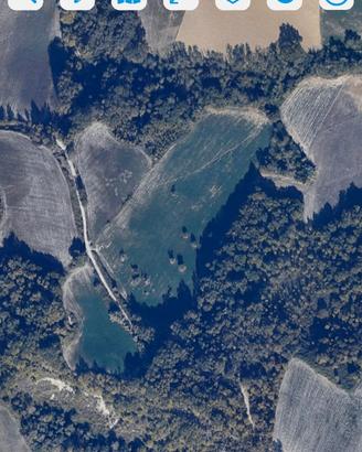 3.7ettari terreno + rudere (F/2) con contributi 