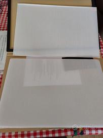 Protezione Schermo Tesla