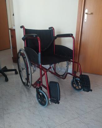 sedia a rotelle