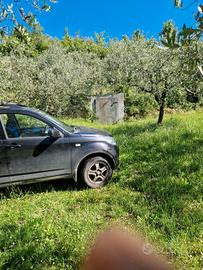 Uliveto