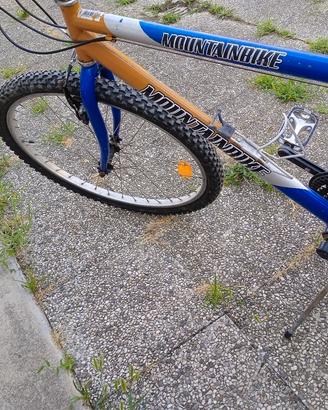 Bici Mountain bike 