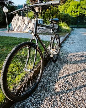 BICICLETTA UOMO