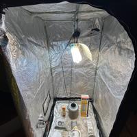 GrowBox con kit completo