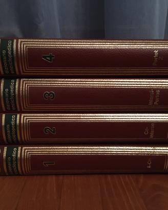 Dizionario Enciclopedia da collezione