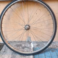 ruota bici 