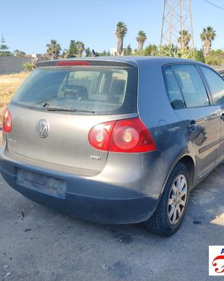 VW GOLF 5 1K1 1.9 TDI 105CV 03-08 Ricambi
