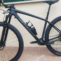 mtb specialized carbon 