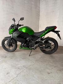Kawasaki z 300