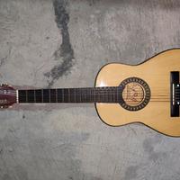 Chitarra Acustica Burswood JC-301