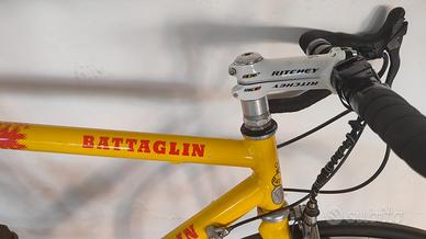 Coppia di bici - mtb e da strada