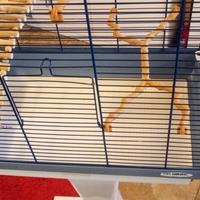 Gabbia per uccelli e pappagalli