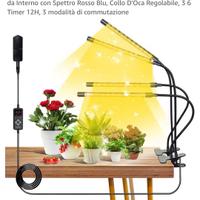 Luci piante crescita