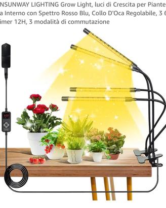 Luci piante crescita