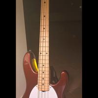 Basso a scala corta Music Man Stingray Sterling