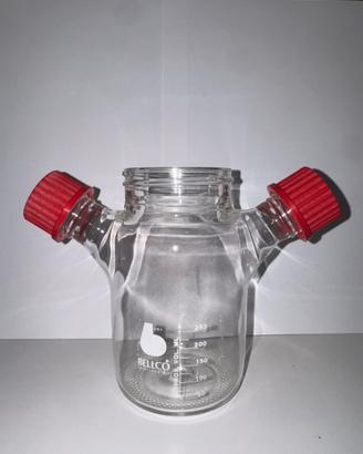Vetreria Flask Bioreattore Bellco 250 mL GL32 lab