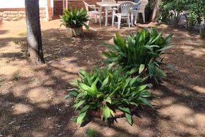 Appartamento a due passi dal mare