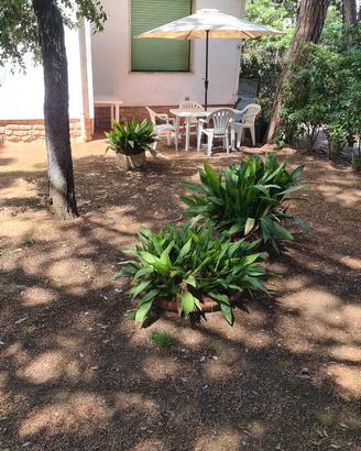 Appartamento con giardino a due passi dal mare