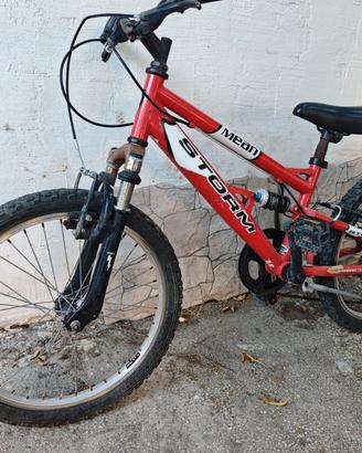 Bici bambino 20 polloci